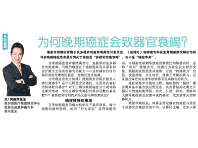 新明日报 Nov 04, 2025